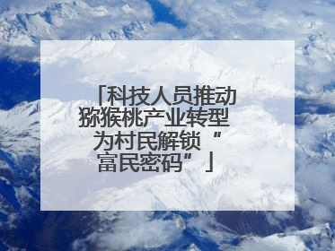 科技人员推动猕猴桃产业转型 为村民解锁“富民密码”