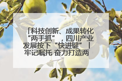 科技创新、成果转化“两手抓”，四川产业发展按下“快进键”丨牢记嘱托 奋力打造两高地两基地一屏障
