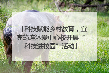 科技赋能乡村教育，宜宾筠连沐爱中心校开展“科技进校园”活动