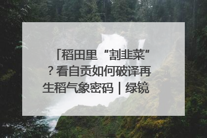 稻田里“割韭菜”？看自贡如何破译再生稻气象密码｜绿镜头·发现中国