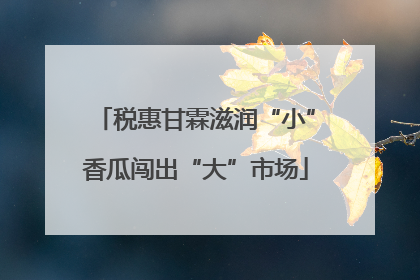税惠甘霖滋润“小”香瓜闯出“大”市场