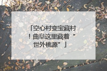 空心村变宝藏村！曲阜这里藏着“世外桃源”