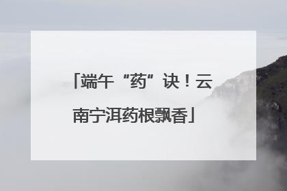 端午“药”诀！云南宁洱药根飘香