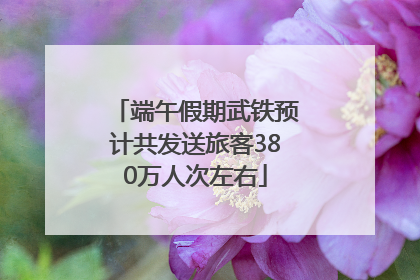 端午假期武铁预计共发送旅客380万人次左右