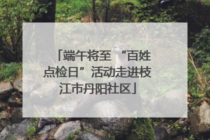 端午将至 “百姓点检日”活动走进枝江市丹阳社区