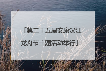 第二十五届安康汉江龙舟节主题活动举行