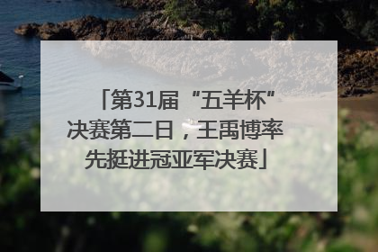 第31届“五羊杯”决赛第二日，王禹博率先挺进冠亚军决赛