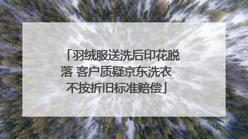 羽绒服送洗后印花脱落 客户质疑京东洗衣不按折旧标准赔偿