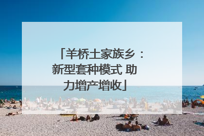 羊桥土家族乡：新型套种模式 助力增产增收