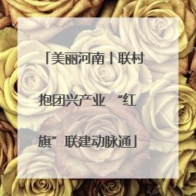 美丽河南丨联村抱团兴产业 “红旗”联建动脉通