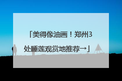 美得像油画！郑州3处睡莲观赏地推荐→