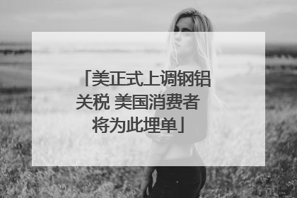 美正式上调钢铝关税 美国消费者将为此埋单