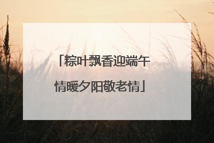 粽叶飘香迎端午 情暖夕阳敬老情