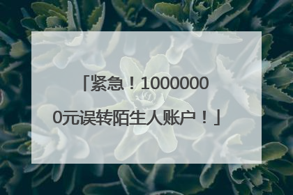 紧急！10000000元误转陌生人账户！