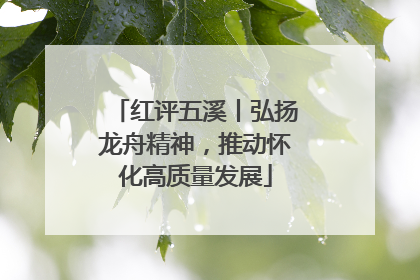 红评五溪丨弘扬龙舟精神，推动怀化高质量发展