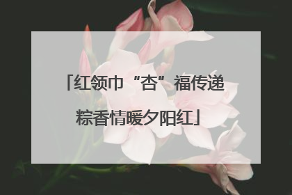 红领巾“杏”福传递 粽香情暖夕阳红