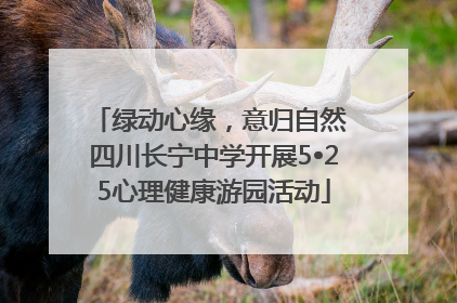 绿动心缘，意归自然 四川长宁中学开展5•25心理健康游园活动