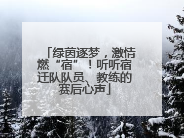 绿茵逐梦，激情燃“宿”！听听宿迁队队员、教练的赛后心声