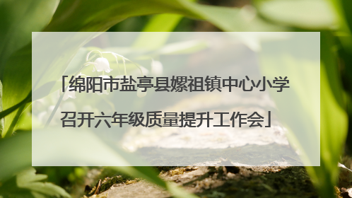 绵阳市盐亭县嫘祖镇中心小学召开六年级质量提升工作会