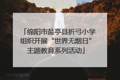 绵阳市盐亭县折弓小学组织开展“世界无烟日”主题教育系列活动
