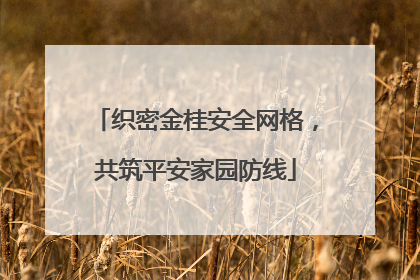 织密金桂安全网格，共筑平安家园防线