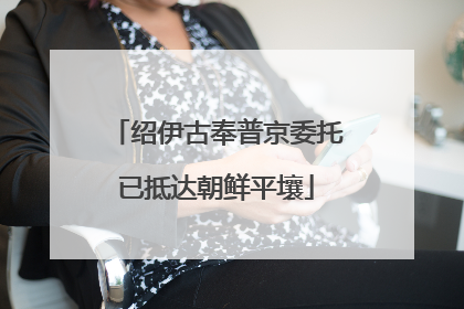 绍伊古奉普京委托已抵达朝鲜平壤