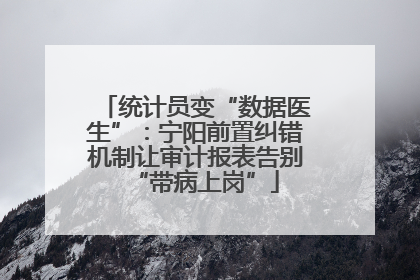 统计员变“数据医生”：宁阳前置纠错机制让审计报表告别“带病上岗”