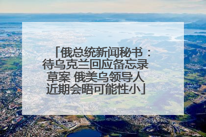 俄总统新闻秘书：待乌克兰回应备忘录草案 俄美乌领导人近期会晤可能性小