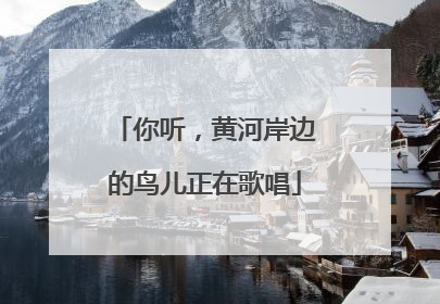 你听，黄河岸边的鸟儿正在歌唱