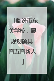 临汾市东关学校：展规划硕果 育五育新人