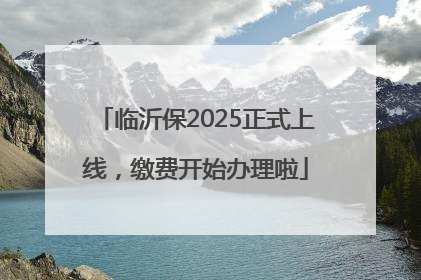 临沂保2025正式上线，缴费开始办理啦