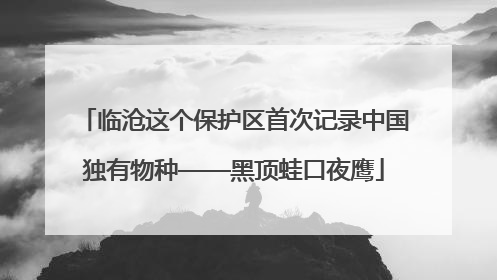 临沧这个保护区首次记录中国独有物种——黑顶蛙口夜鹰