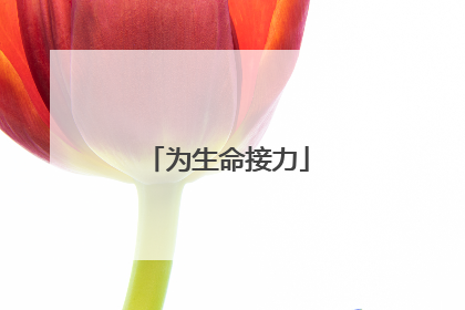 为生命接力