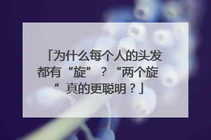 为什么每个人的头发都有“旋”？“两个旋”真的更聪明？