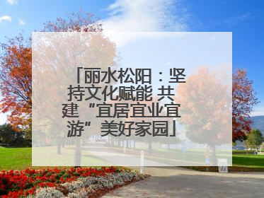 丽水松阳：坚持文化赋能 共建“宜居宜业宜游”美好家园