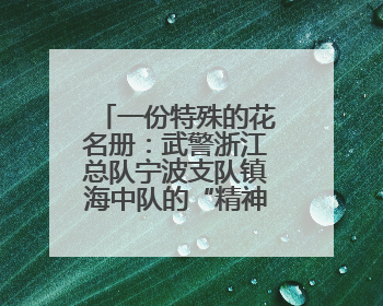 一份特殊的花名册：武警浙江总队宁波支队镇海中队的“精神密码”