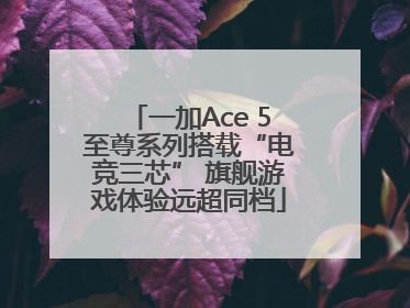 一加Ace 5至尊系列搭载“电竞三芯” 旗舰游戏体验远超同档