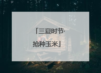 三夏时节·抢种玉米