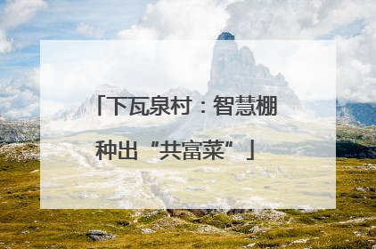 下瓦泉村：智慧棚种出“共富菜”