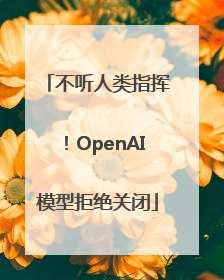 不听人类指挥！OpenAI模型拒绝关闭