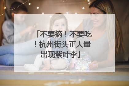 不要摘！不要吃！杭州街头正大量出现紫叶李