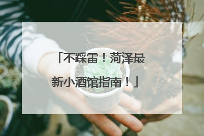 不踩雷！菏泽最新小酒馆指南！