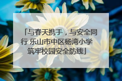与春天携手，与安全同行 乐山市中区杨湾小学筑牢校园安全防线