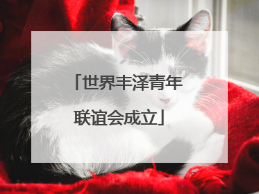 世界丰泽青年联谊会成立