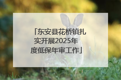 东安县花桥镇扎实开展2025年度低保年审工作