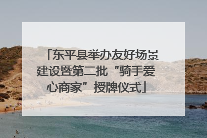 东平县举办友好场景建设暨第二批“骑手爱心商家”授牌仪式