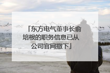 东方电气董事长俞培根的职务信息已从公司官网撤下