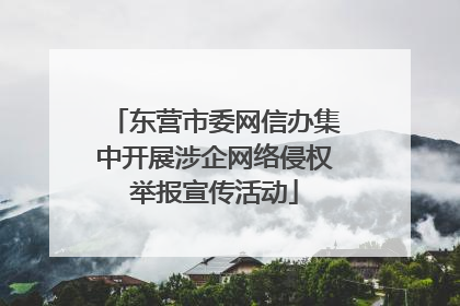 东营市委网信办集中开展涉企网络侵权举报宣传活动