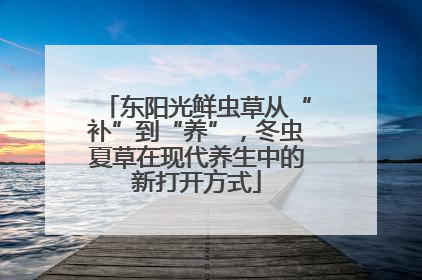 东阳光鲜虫草从“补”到“养”，冬虫夏草在现代养生中的新打开方式