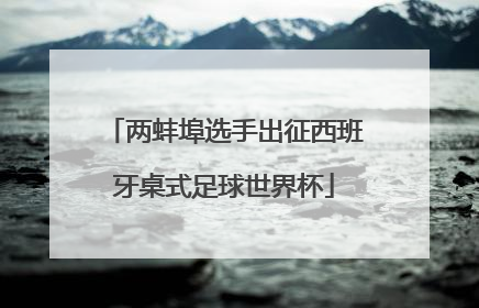 两蚌埠选手出征西班牙桌式足球世界杯